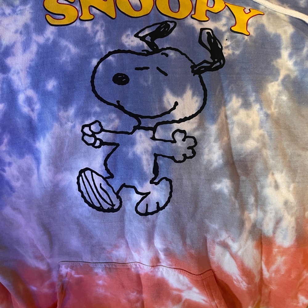 Red and Blue Graphic Sweatshirt with Snoopy